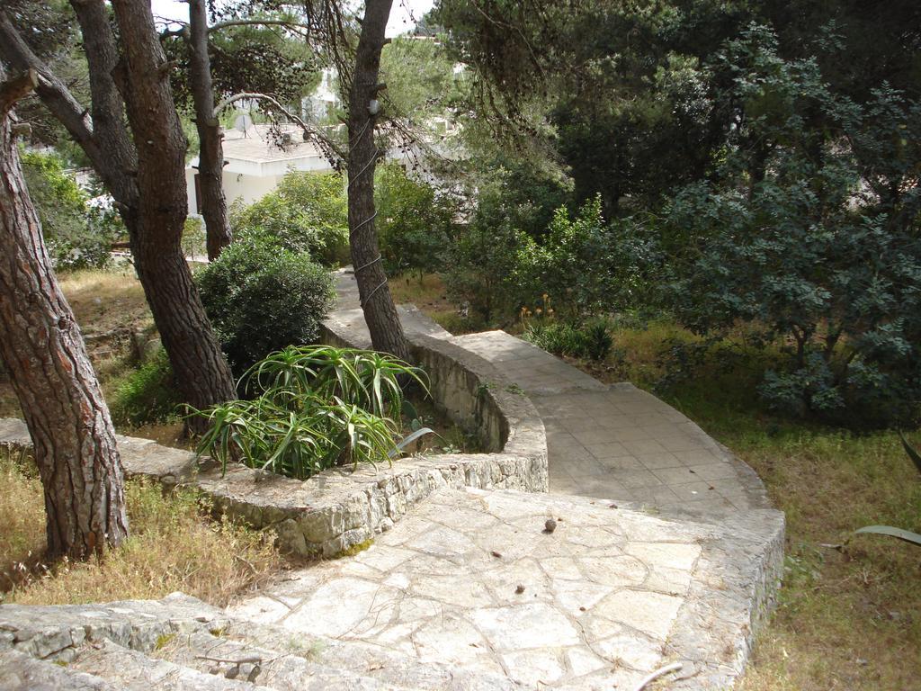 Trullo In The Wood Villa Nardò Dış mekan fotoğraf