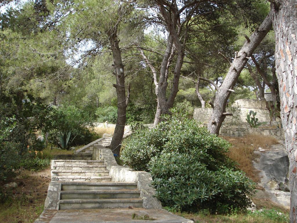 Trullo In The Wood Villa Nardò Dış mekan fotoğraf